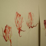 Water Color Paintings; NHK Gallery, Hokkaido, Japan 2011