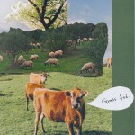 Grass fed June 2015 Mieko Meguro