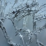 Icy Hearts 2012