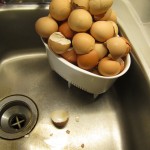 貝塚＝シェル塚＝a kitchen midden=三角コーナー／triangular corner, Feb 2014, Mieko Meguro