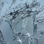 Icy Hearts 2013