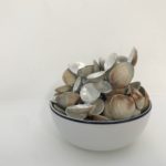 I cooked clam chowder last night. Dan said chewy. 2019