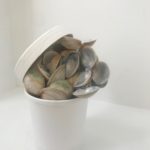 I take out a cup of clum chwder from Fanelli's last night. Dan said this is the best. 2019